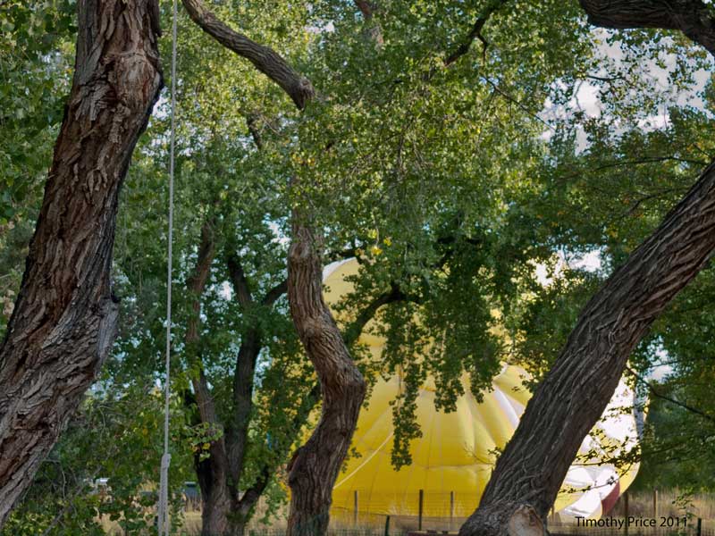 Balloon Inflating In Field
