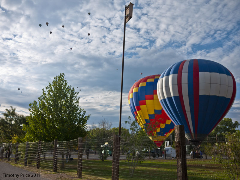 Balloons In Corrales Park