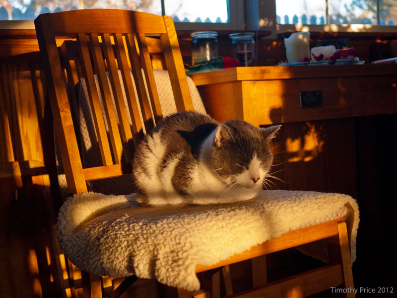 Stretch In The Morning