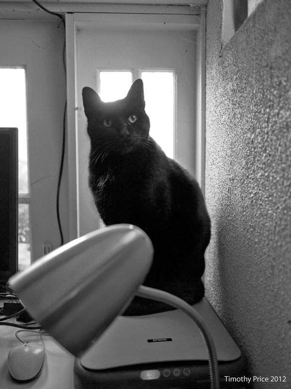 Sunrise Over Rosencrantz