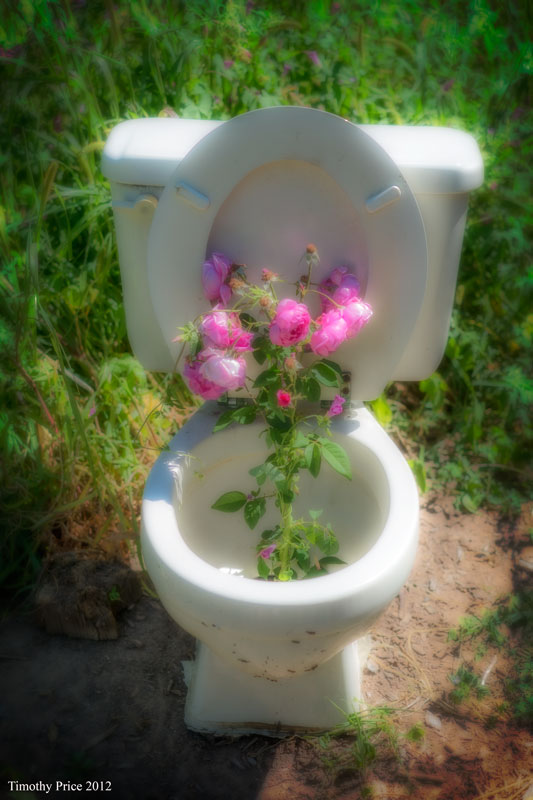 Old Toilet RIP