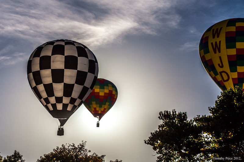 Checkerboard Ballon