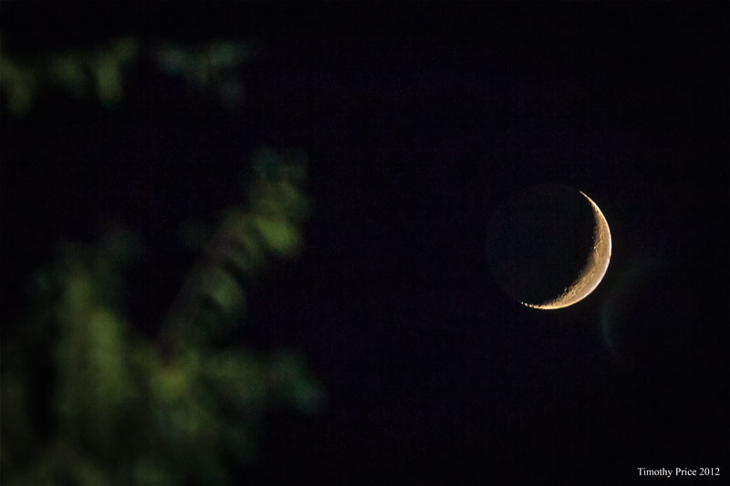 Sliver Moon