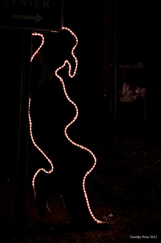 CowboyChristmasLights