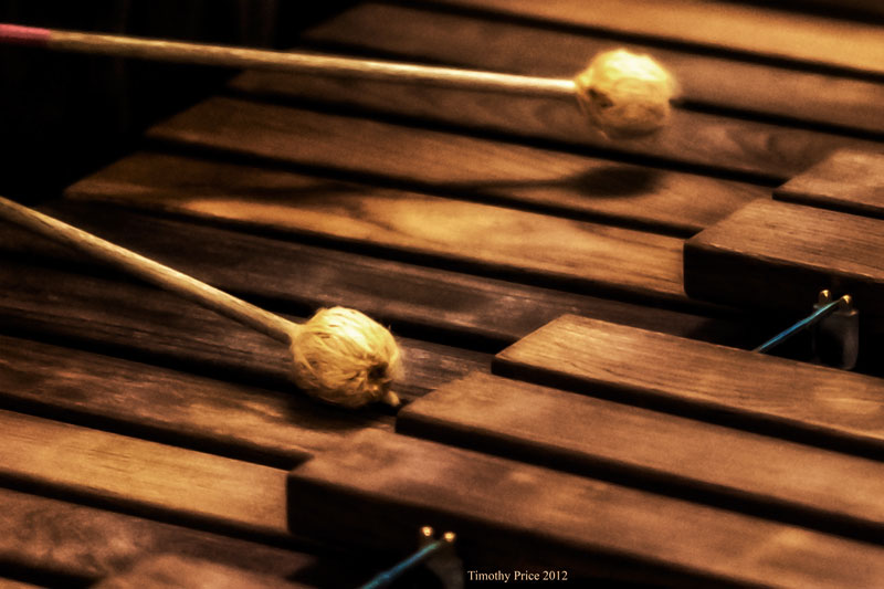 xylophone