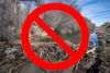 NoBeaverDams