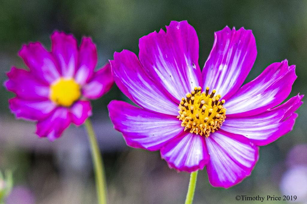 DSCF3744